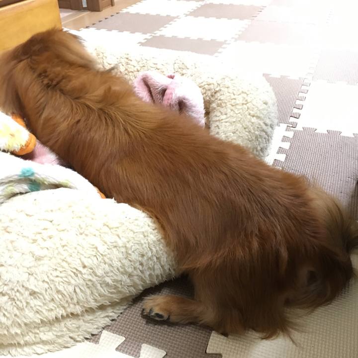 8f9986d2 9ab6 4d29 bb9b 03c1597c7364 1552132495549