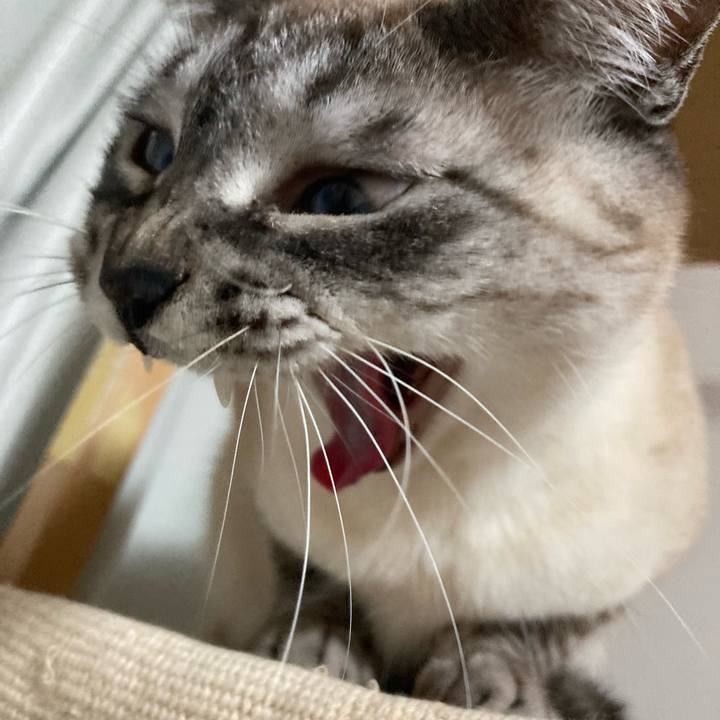 8f999f2a 4922 48e8 91f4 f9787a0fed35 1678361887921