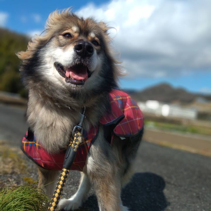 8f99a468 da64 4832 81a2 1dae6931262b 1581564437572