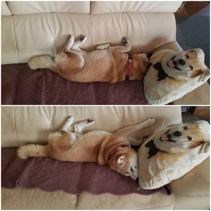 8f99aada 37c7 430b ba87 199410943861 1753162332439