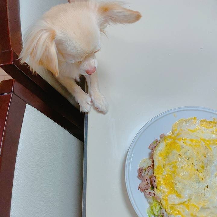 8f99d77f 51de 45ba bba6 91a47554c3c0 1621422919316