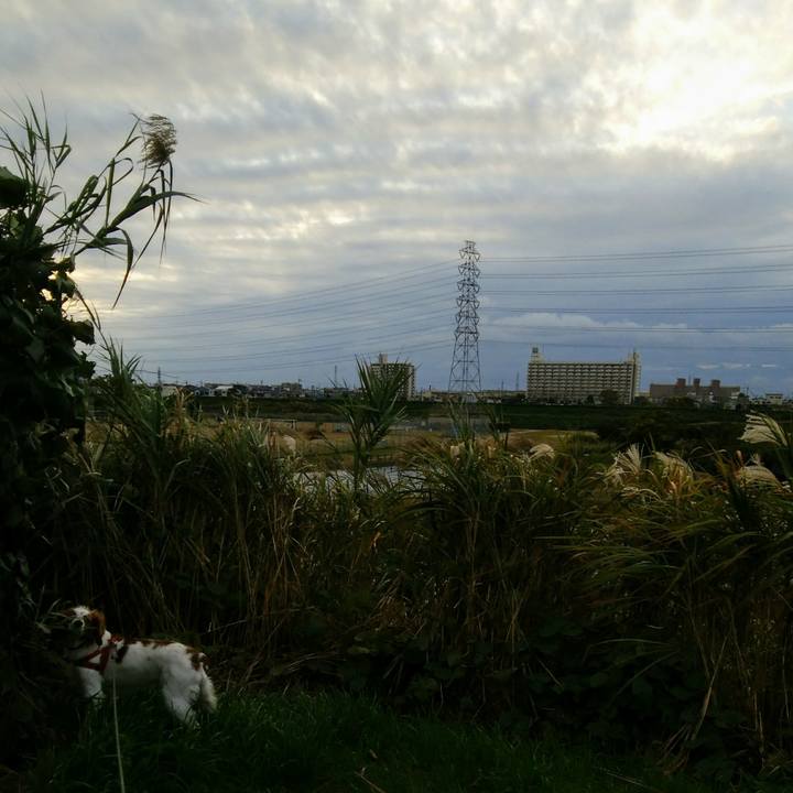 8f99e619 d917 44c1 bafc dd3bfaaa9fd5 1542099081113