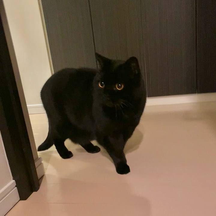 8f99f236 3922 46f8 b3fc e2b2e6352587 1730983911274