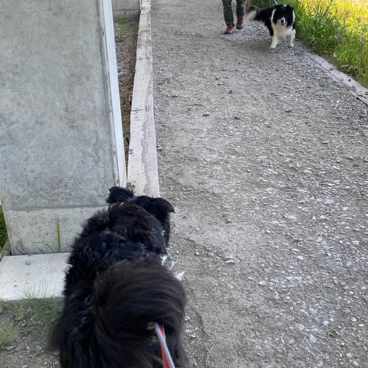 8f9a509e 0cf0 46c6 bc14 3687c5f99853 1652834091706