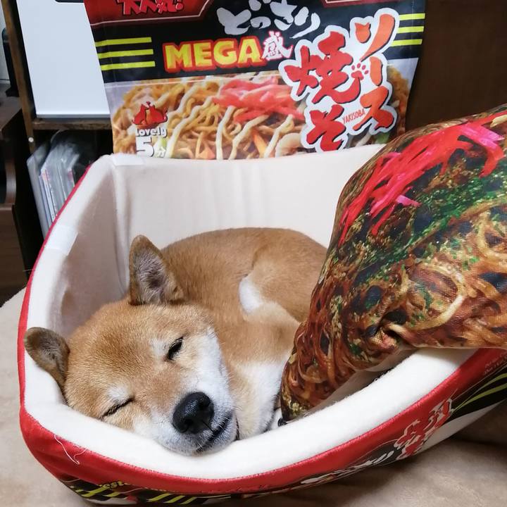 8f9a6957 aa27 4e65 8fcc 2825f09e9979 1605699441093