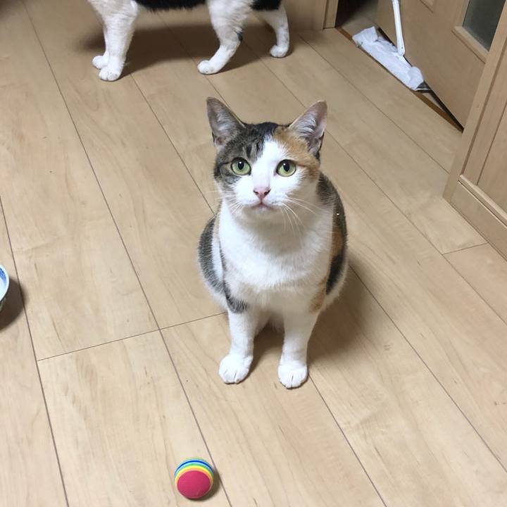 8f9a801c fb4e 4050 b460 d62aabea489a 1585393082621