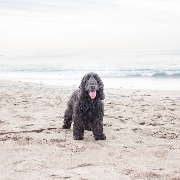 8f9a8832 cb8c 4d64 a05b 8f5f9a4e32d6 1552311663389