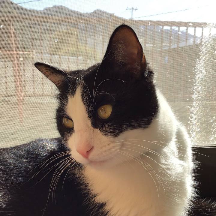 8f9a94e0 d927 4e2e 91c5 5711561b8a5c 1700538713667