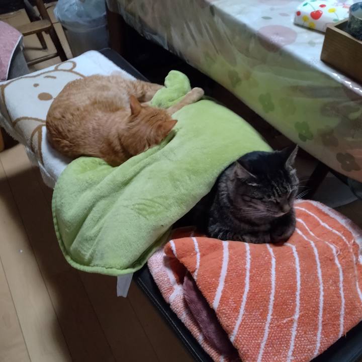 8f9a9e5c 13e6 4f3a 9de0 16325231e395 1700181401609