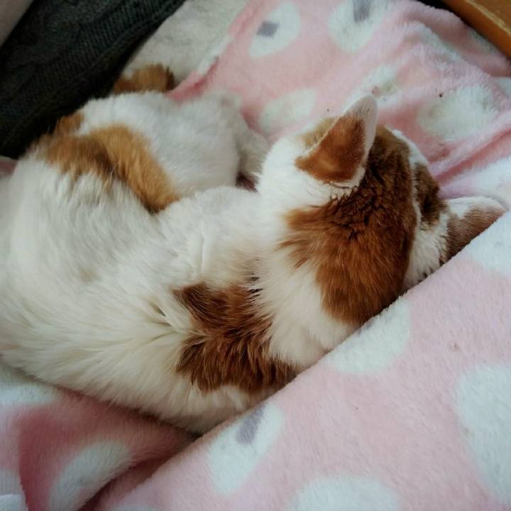 8f9ab36c b23f 4603 bdb9 2a8115f82059 1619062048219