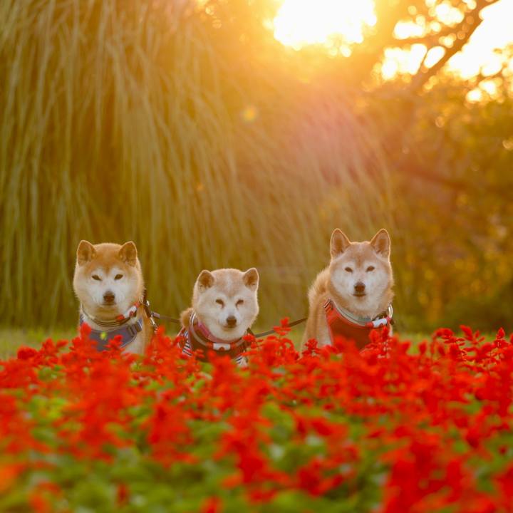 8f9ac0ad ca1b 42ab 83d3 756ff1ada26d 1762010729535