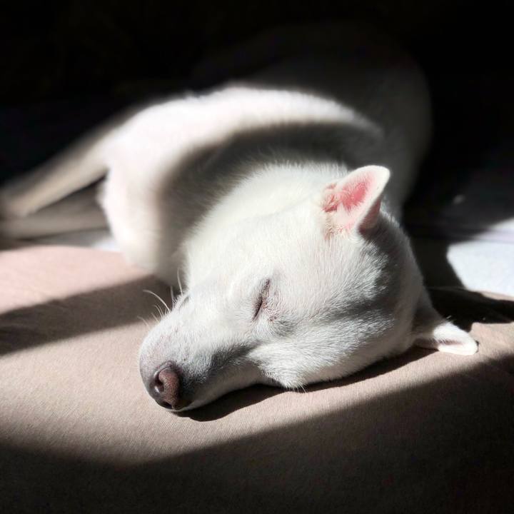 8f9ac50c 0348 4001 ba29 1b7c8ac9e84b 1602994605635