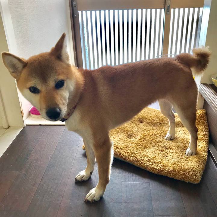 8f9adbb7 efb5 4670 97eb c3805bb09c9b 1545881392658