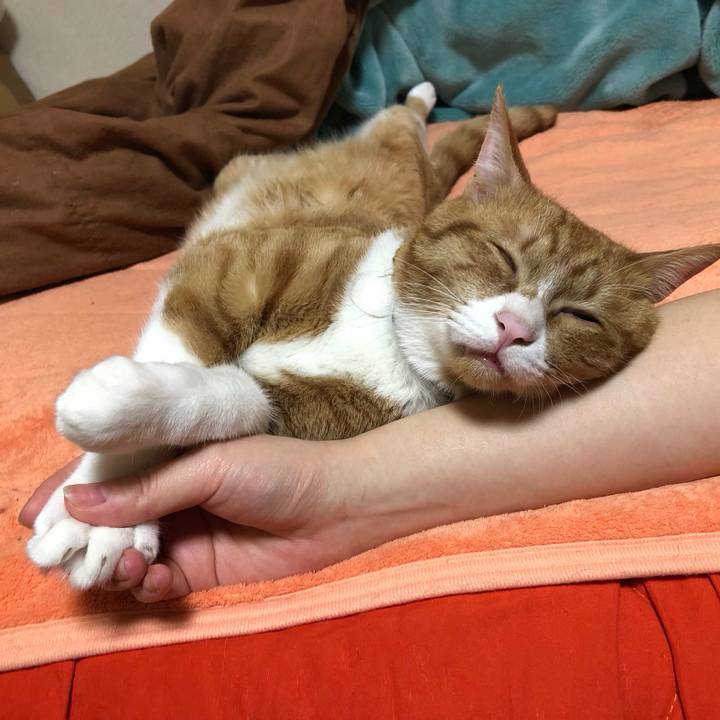 8f9afa32 9f72 4325 a517 1e6192fc7d85 1555821337351