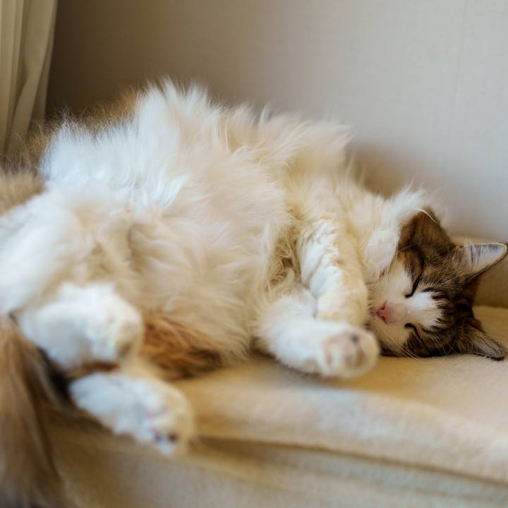 8f9b3e6c e0f5 42d0 b6b1 3f83580d313d 1765525320373