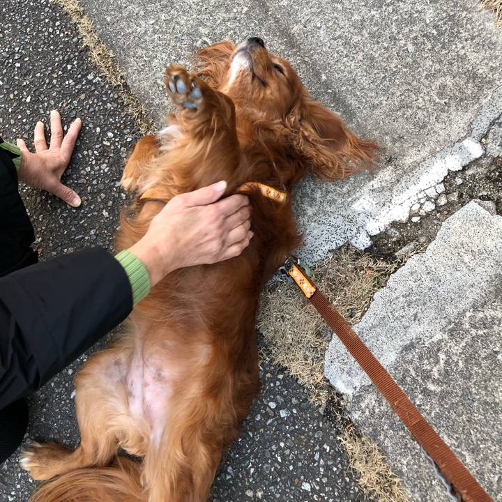 8f9b59f4 8d2f 4600 b742 06f5b991a30c 1612737129688