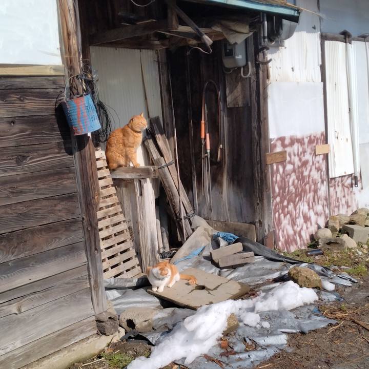 8f9b5ad2 5a25 4872 9c64 91124930e416 1737703710886