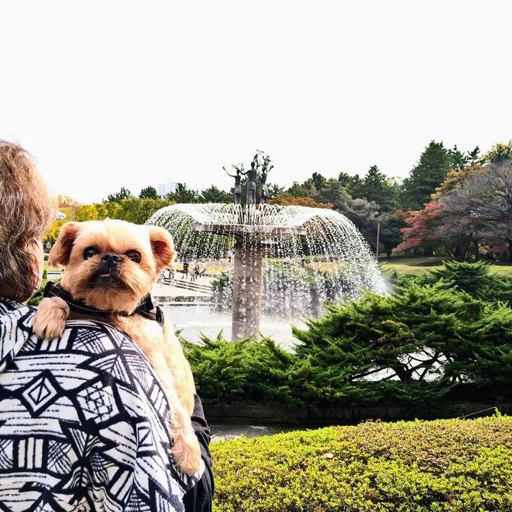 8f9b5da0 02af 48d6 8afb 6f61701b8e98 1636269832785