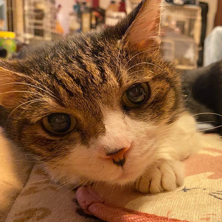 8f9b691e bf05 472f bd75 08d4344f9a15 1603896888753