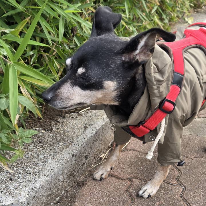 8f9b75e0 3684 4f6a 8b22 290b00455a8e 1762296647263