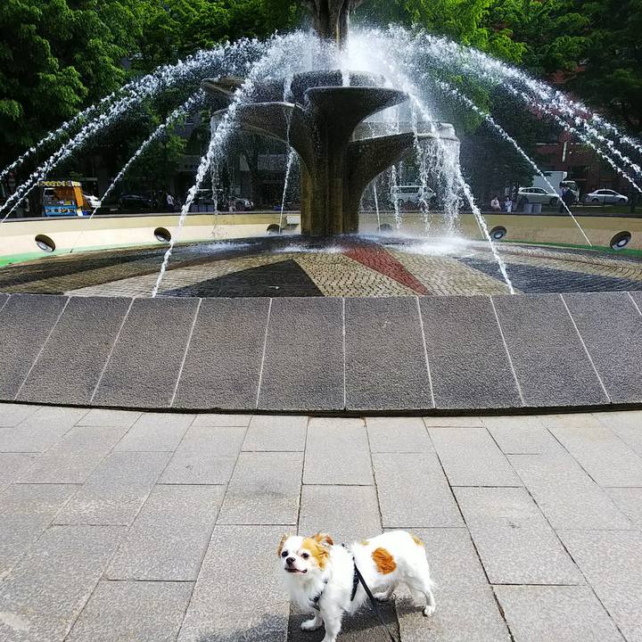 8f9ba104 3338 4326 a12b 18385dbe75f8 1527932503436