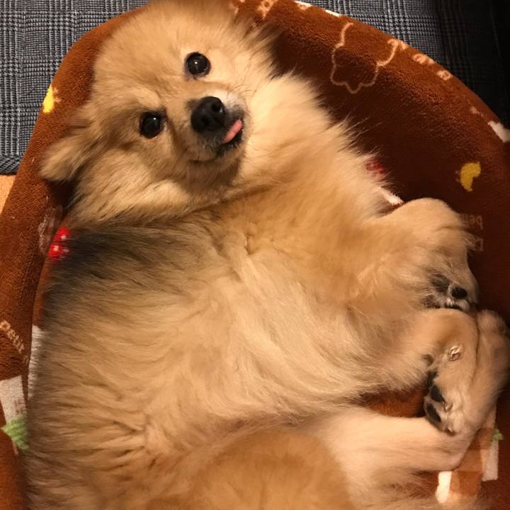 8f9bf041 1298 45ff ad29 ea8e5f7c712b 1555501218121