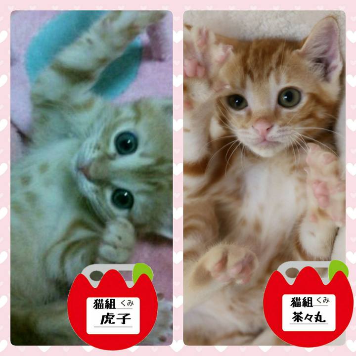 8f9c1d6f 7523 47ae bb02 f82b83c64698 1535168000172