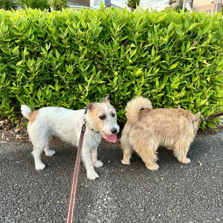 8f9c3529 f432 48e3 a5e9 44b73563a20b 1757190729114