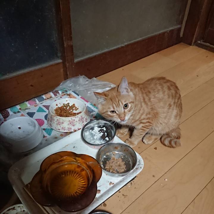 8f9c7d27 d6bc 4164 9dfc 9b827e743b9b 1636666619634