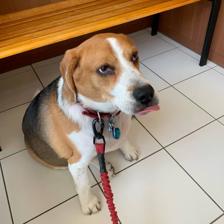 8f9c804c 8c22 4c37 b299 f80e588ab30e 1686835469507