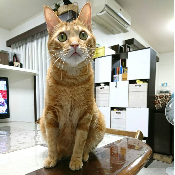 8f9ca8a4 e94b 4da4 9053 cbb0365e6bd8 1562105496632