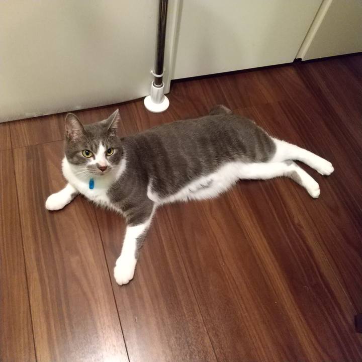 8f9cd047 7e06 4f75 a6b3 13054e9fa793 1602688741456