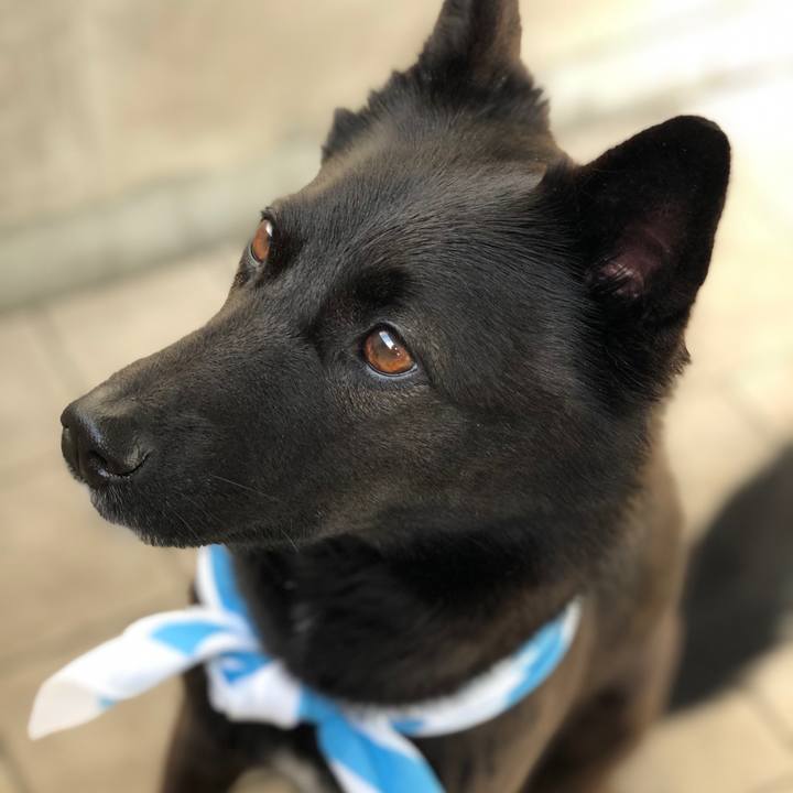 8f9cd137 2ebf 45b9 b366 aceab603a667 1556752105531