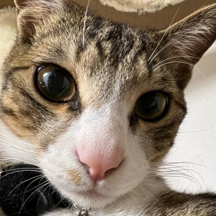 8f9d910f cbca 4c3c 9bbf 5259c039cfd7 1674237426444