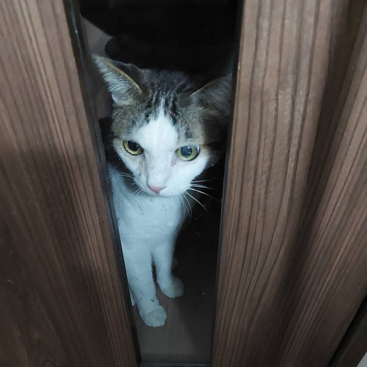 8f9d9f0d 150b 4420 a332 a96953f8f1b0 1643413000301