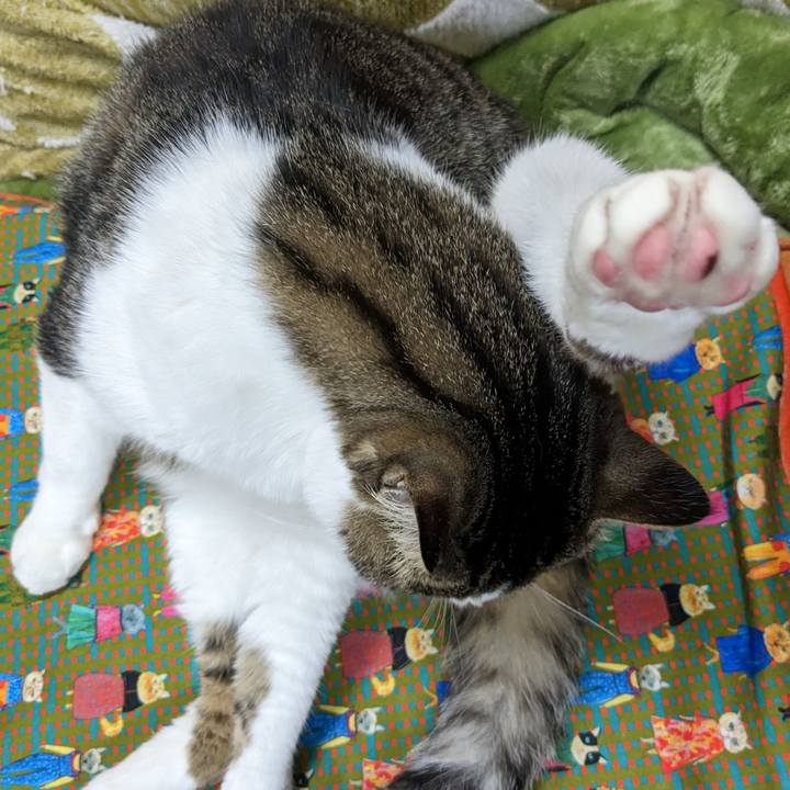 8f9ddb4f e08e 4808 8628 b63f4f1ef155 1684497973982