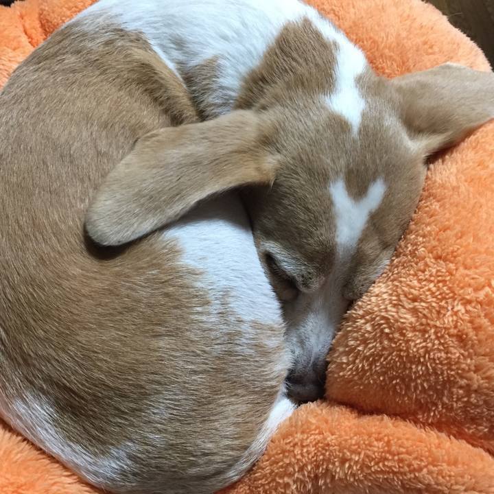 8f9e1f7e f45a 4b70 aebc 24fb596100c7 1559774583402