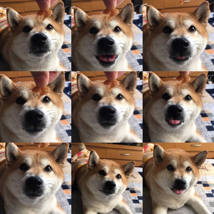 8f9e20f7 e91b 482f 8473 ce6118acd33e 1602991461876