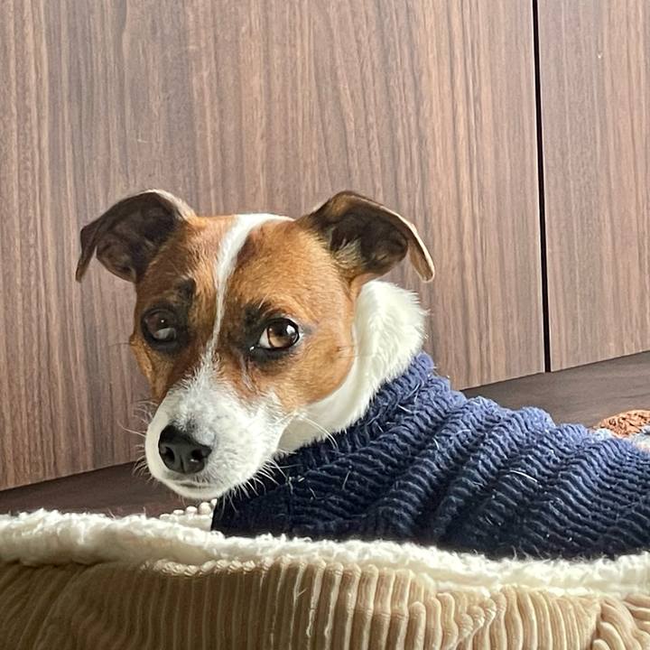 8f9e3ac6 ff69 4f5a 831f 67d646d90d64 1650068095258