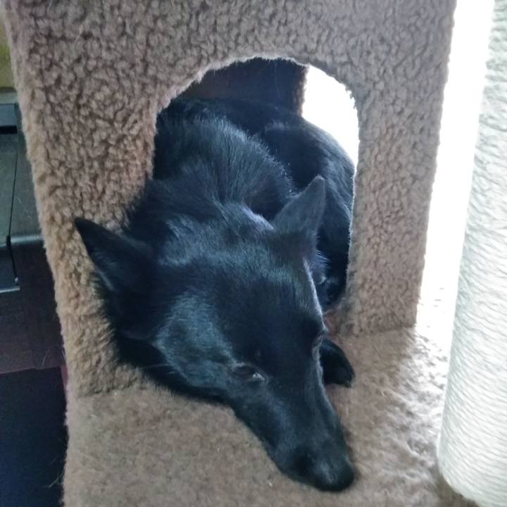 8f9e6446 1a1d 451d 9f16 bb43ba3c1bc2 1554537158147