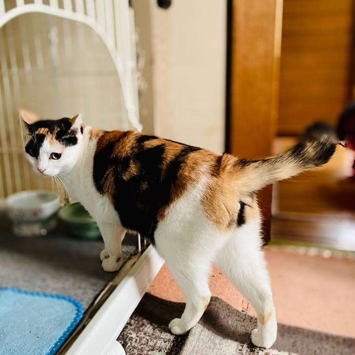 8f9e78ca 6890 4cd3 b979 21344de019a4 1610936826462