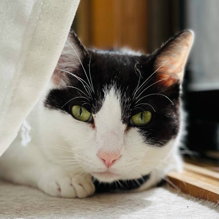 8f9e8fe6 c307 4d0f 89fa 61bf5bd692cb 1619488332674