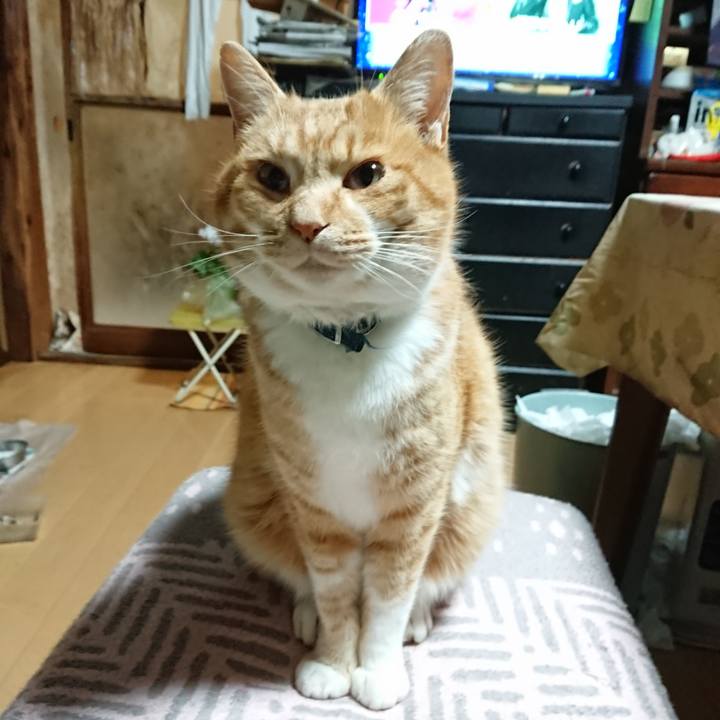 8f9ea1f9 e279 46a7 afb8 95c16d412366 1608411912594