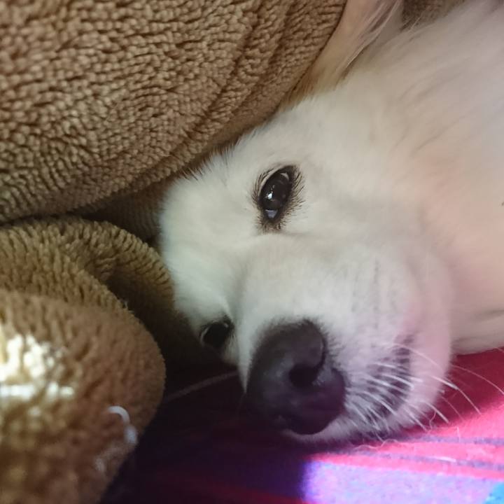 8f9eaa36 abf4 4eb1 811d fa6c6e169989 1511728880981