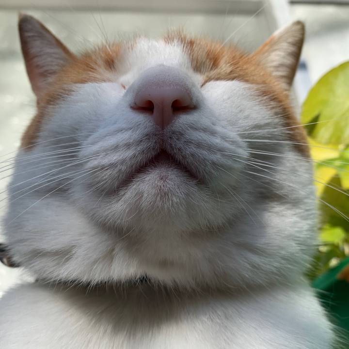 8f9f1db8 6d90 4b54 a4e7 239935d65671 1577595501372