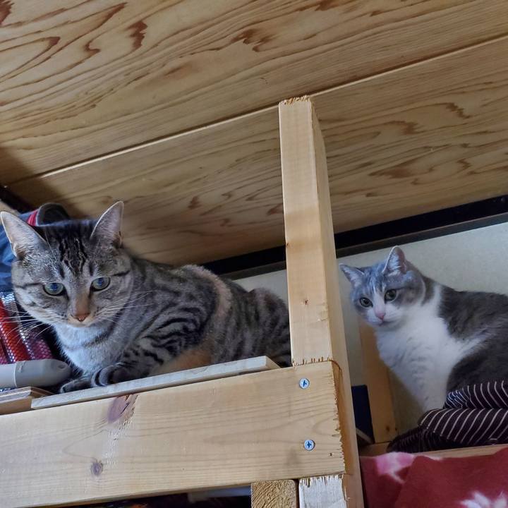 8f9f274a 6751 47b0 884e e00ecf7370cb 1698677217893