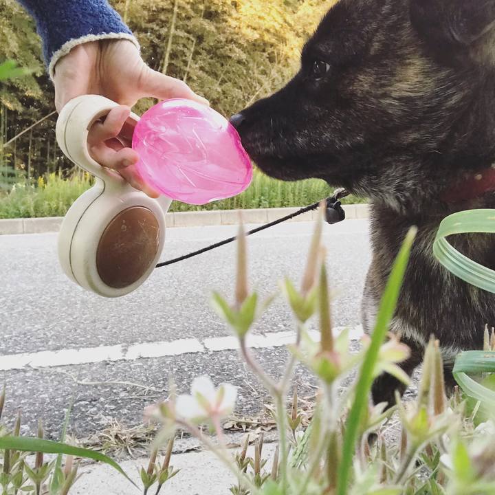 8f9f31b5 4e79 4474 ba47 dabdc8892ed9 1539593444903