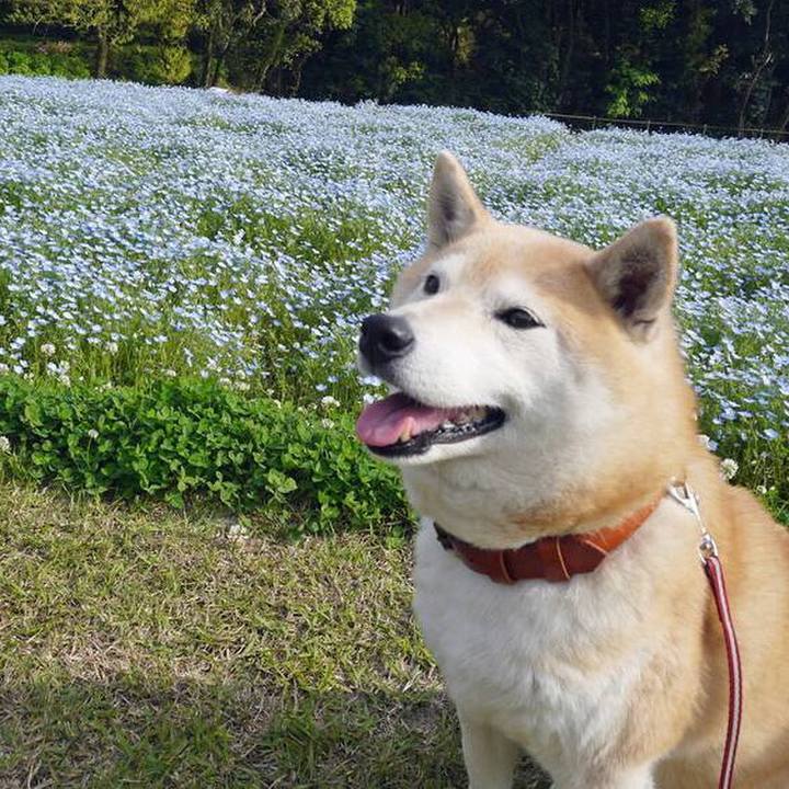 8f9f49d0 92bb 42e2 8fdd 96e84ea0a1b3 1540695380009