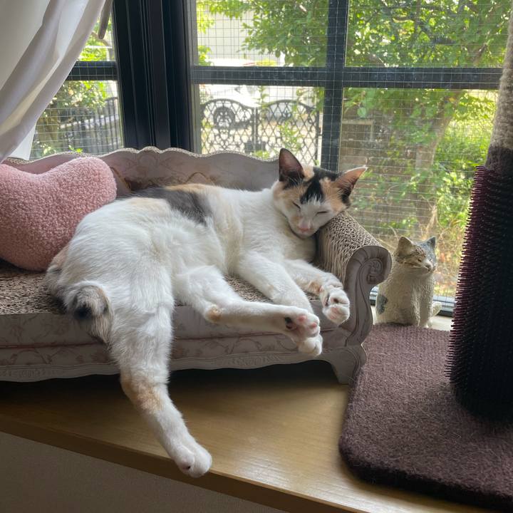 8f9f5265 3951 4f48 9f3b f9cad98c2e7e 1684987319101