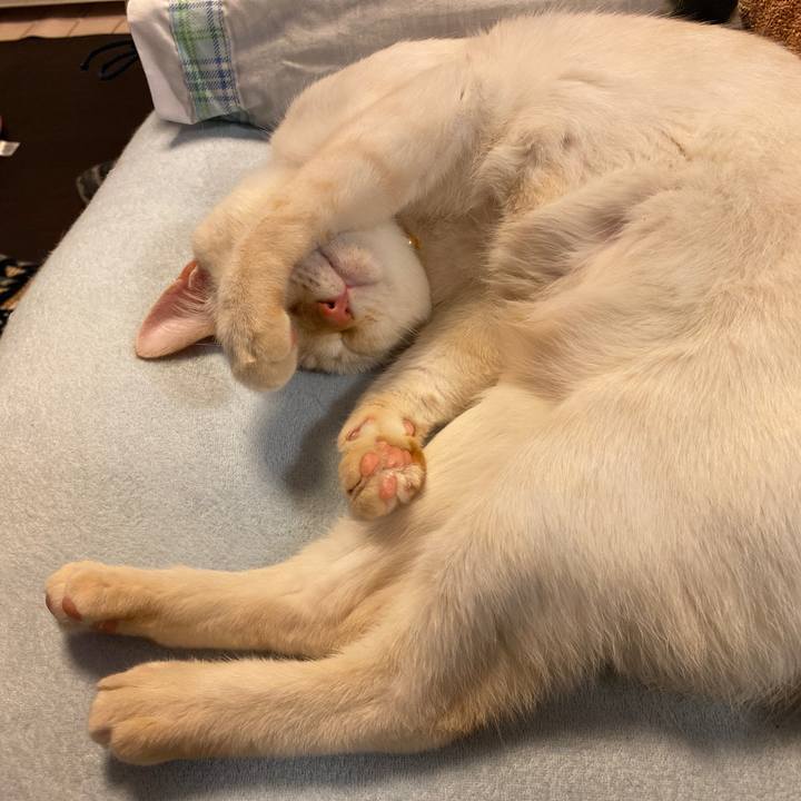 8f9f52cb 8c8e 4042 89c2 b0742afba780 1607969641873